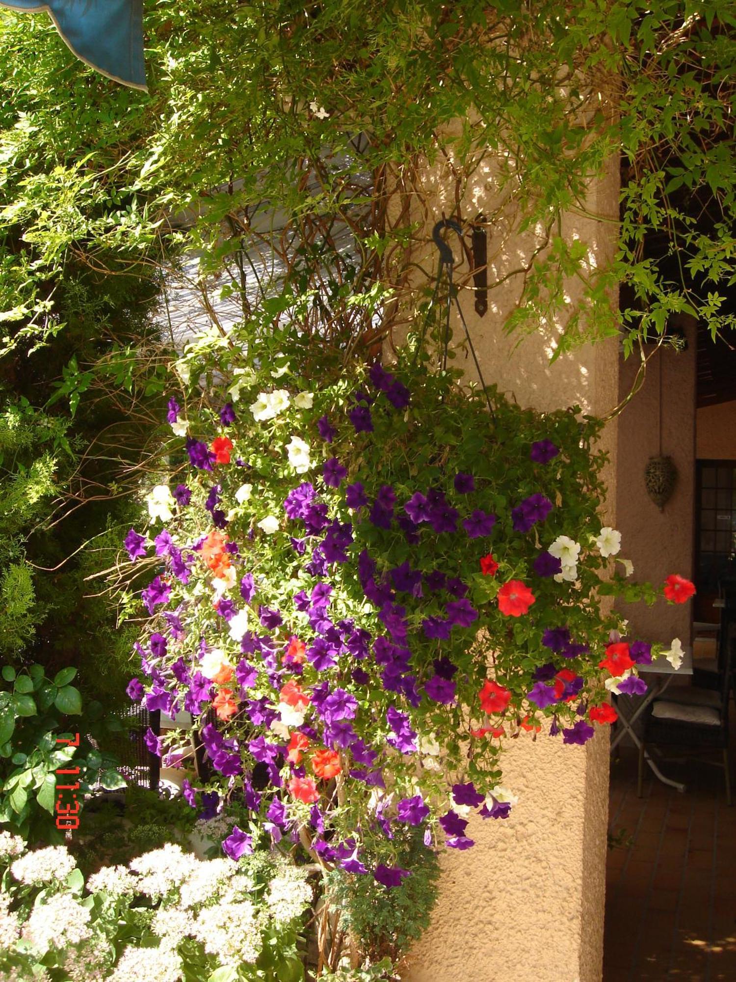 Hotel Mistral Mas-Blanc-des-Alpilles Exterior photo
